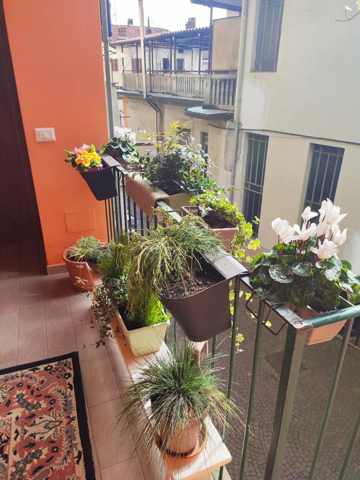 Antico Di Guest house Tollegno